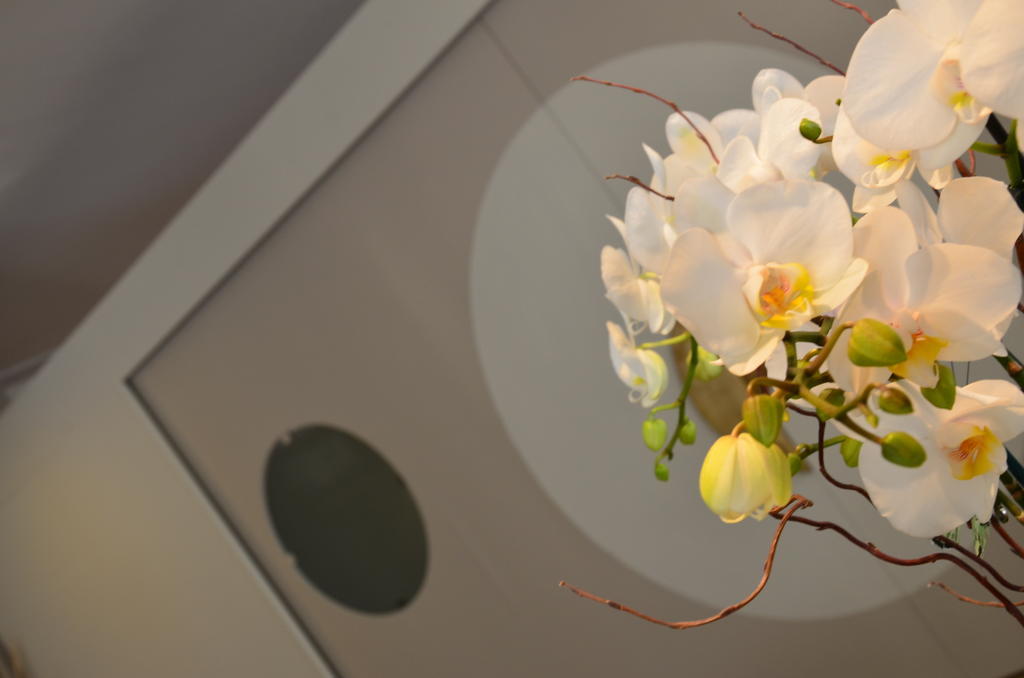 Hotel Mirage ミラノ・マリッティマ エクステリア 写真
